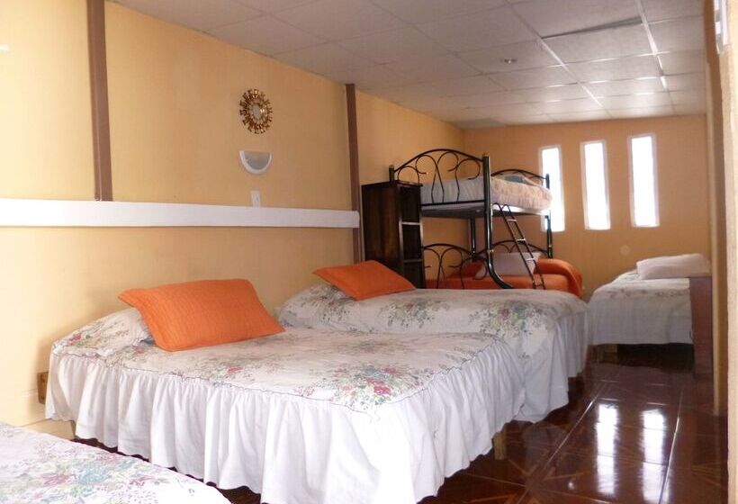 공동 객실, Andino