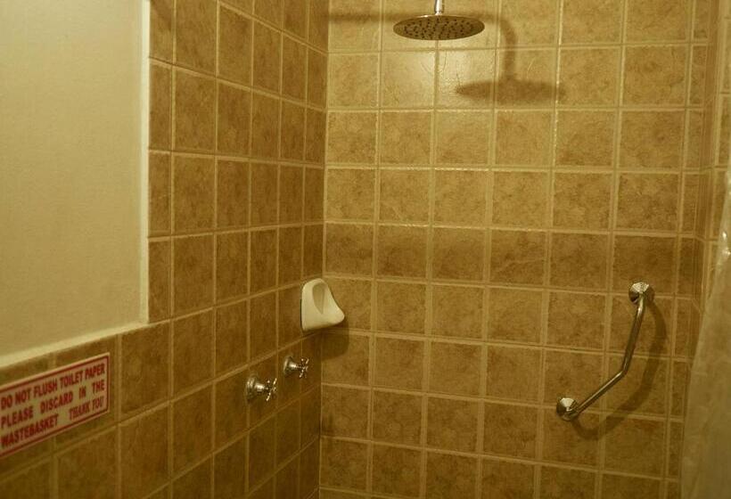 스탠다드 트리플 룸, Andino