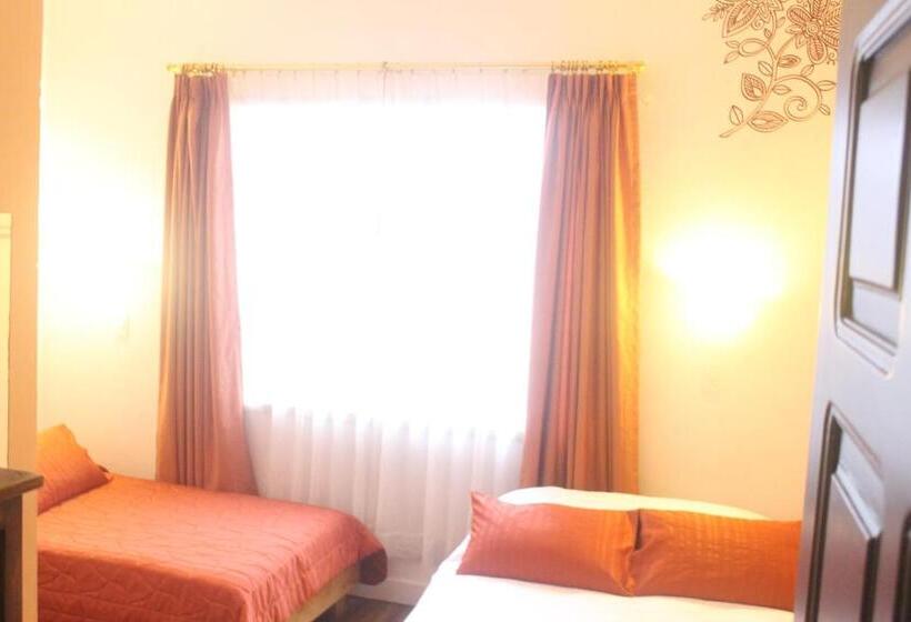 스탠다드 트리플 룸, Andino