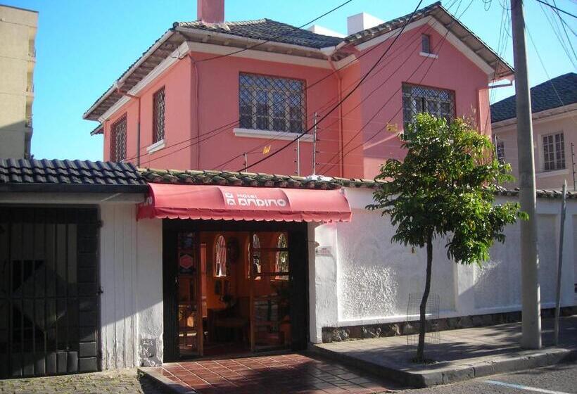 패밀리 룸, Andino