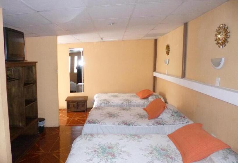 4인용 스탠다드 룸, Andino