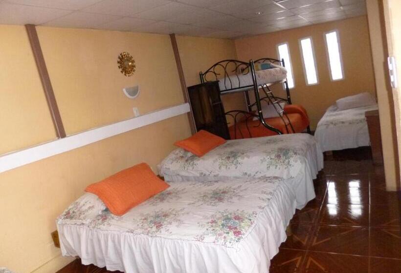 4인용 스탠다드 룸, Andino