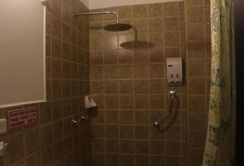 공동 객실, Andino