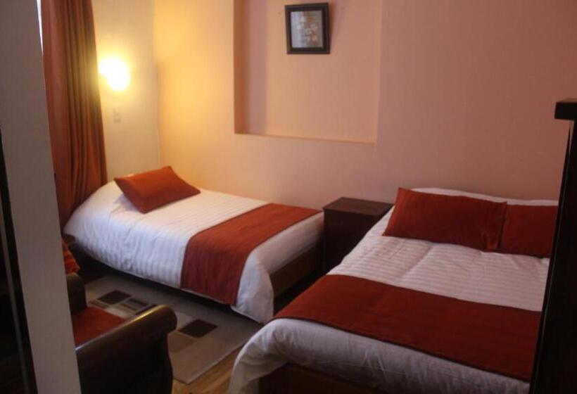 스탠다드 룸, Andino