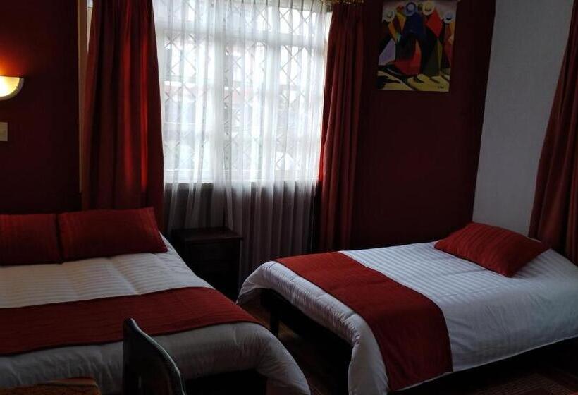 스탠다드 룸, Andino