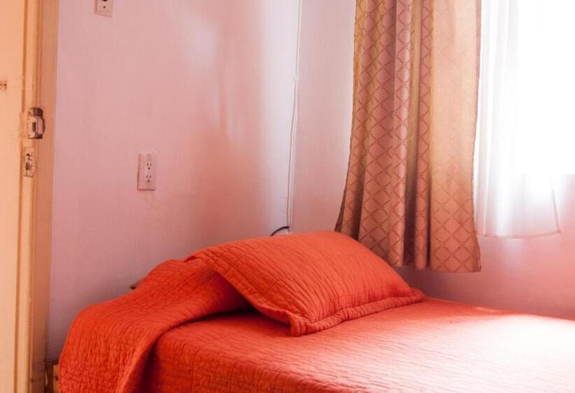 스탠다드 싱글 룸, Andino