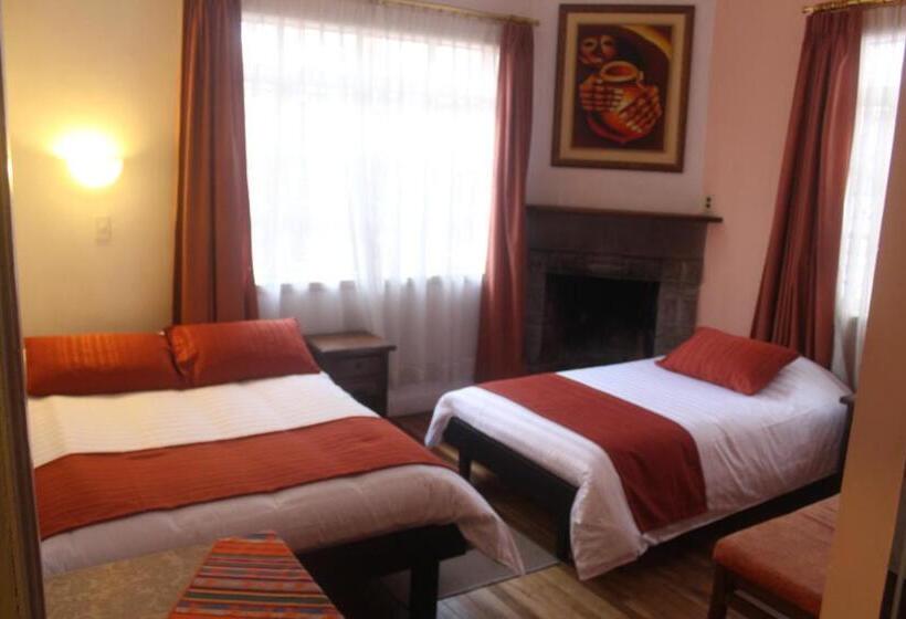 패밀리 룸, Andino