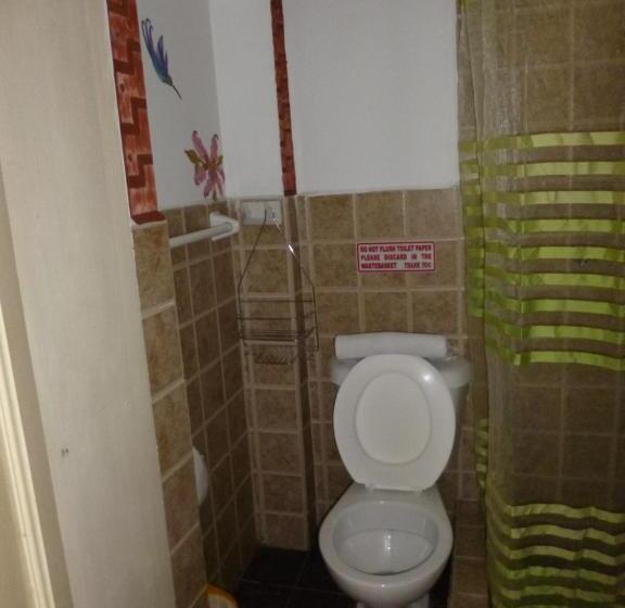 스탠다드 싱글 룸, Andino