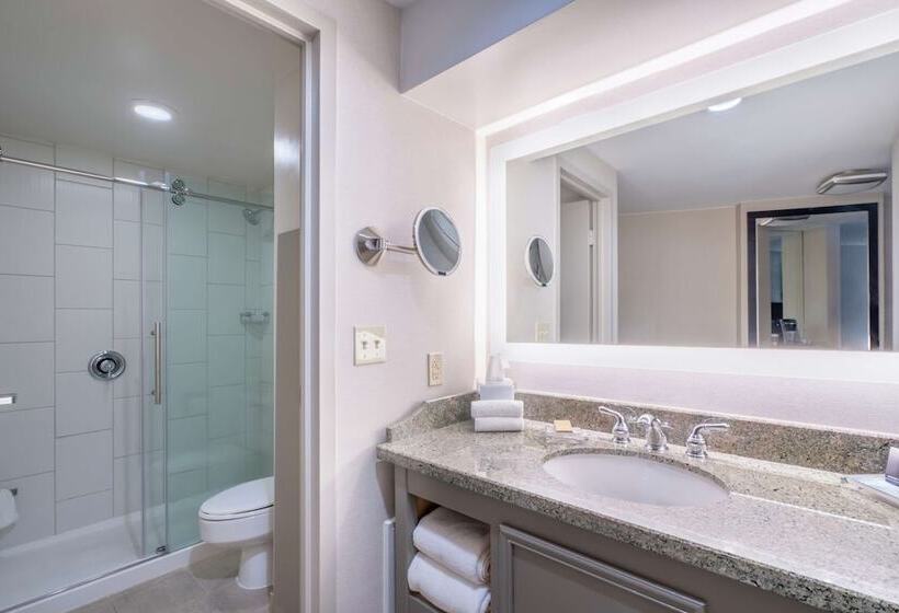 חדר סטנדרט שתי מיטות זוגיות, Hilton Memphis