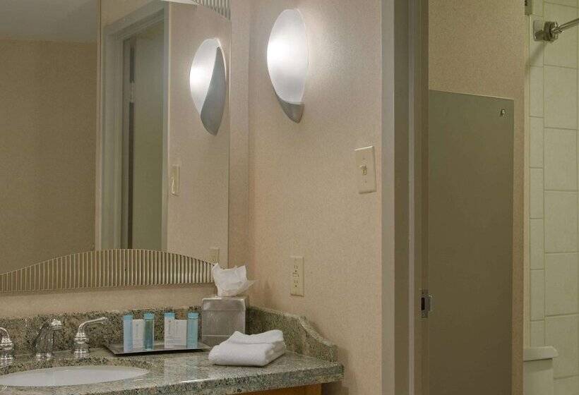 스탠다드 룸 더블 침대 2개, Hilton Memphis