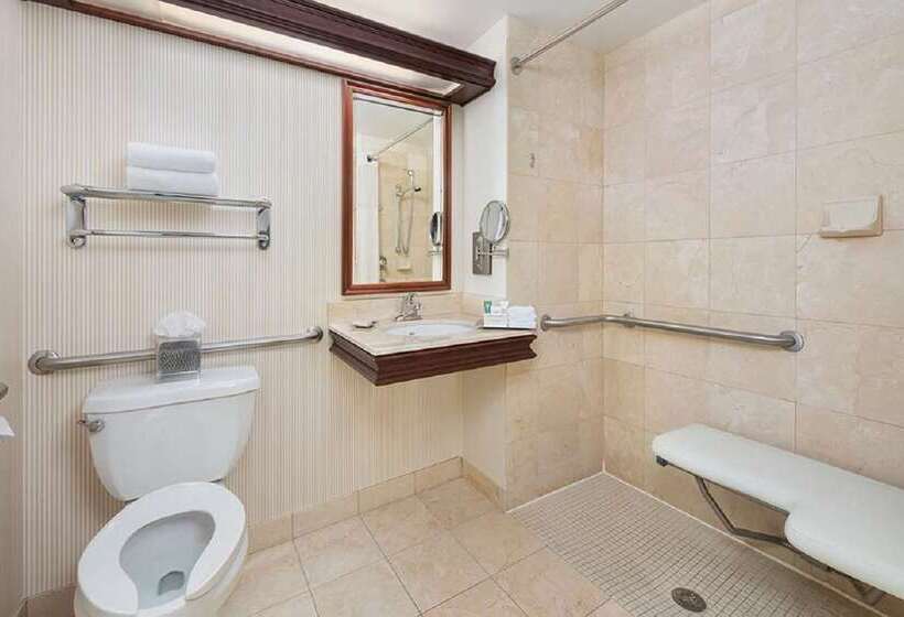 חדר סטנדרט, Hilton Memphis