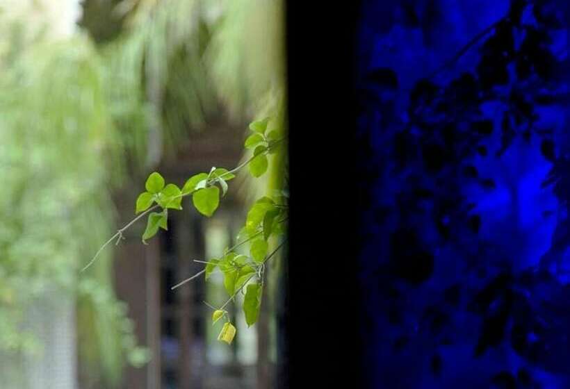 סוויטת ג'וניור, Palais Sheherazade & Spa