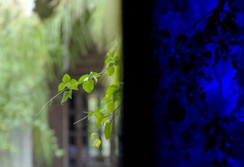 סוויטת ג'וניור, Palais Sheherazade & Spa