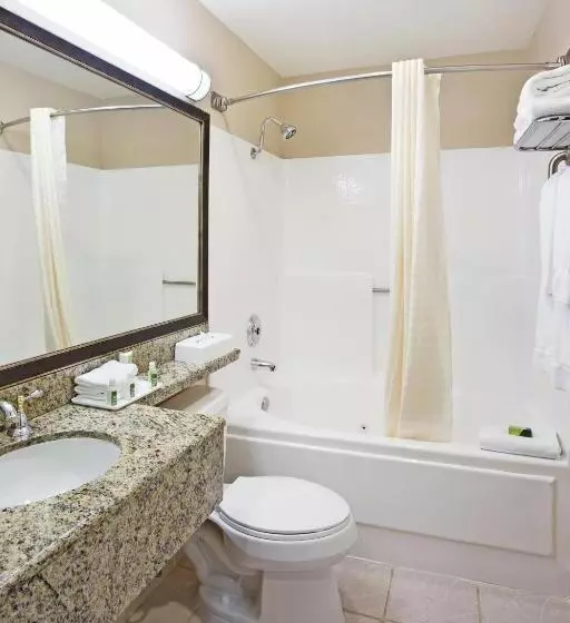 اتاق استاندارد با تخت بزرگ, Best Western Plus Marina Shores