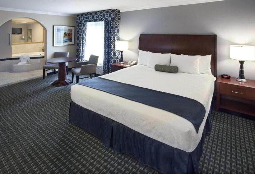 غرفة قياسية سرير كينج, Best Western Plus Marina Shores