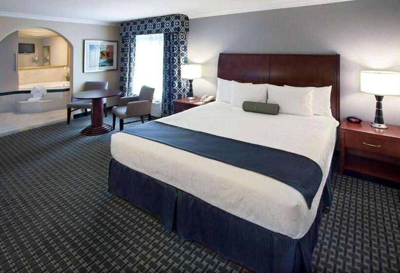 스탠다드 룸 킹사이즈 침대, Best Western Plus Marina Shores