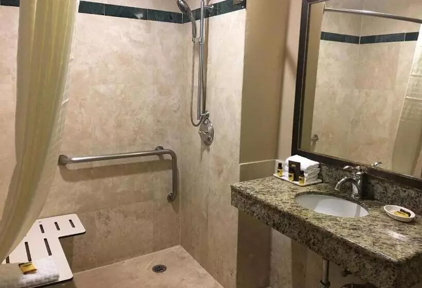 اتاق استاندارد با تخت بزرگ برای معلولان, Best Western Plus Marina Shores