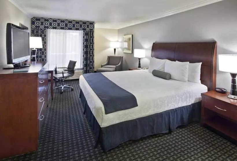 اتاق استاندارد با تخت بزرگ برای معلولان, Best Western Plus Marina Shores
