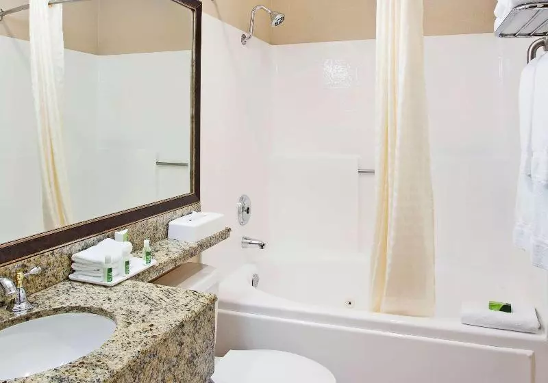 سوئیت با تخت بزرگ, Best Western Plus Marina Shores