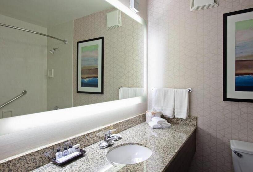 Quarto Estandar Cama King para Deficientes Físicos, Crowne Plaza Silicon Valley North   Union City, An Ihg