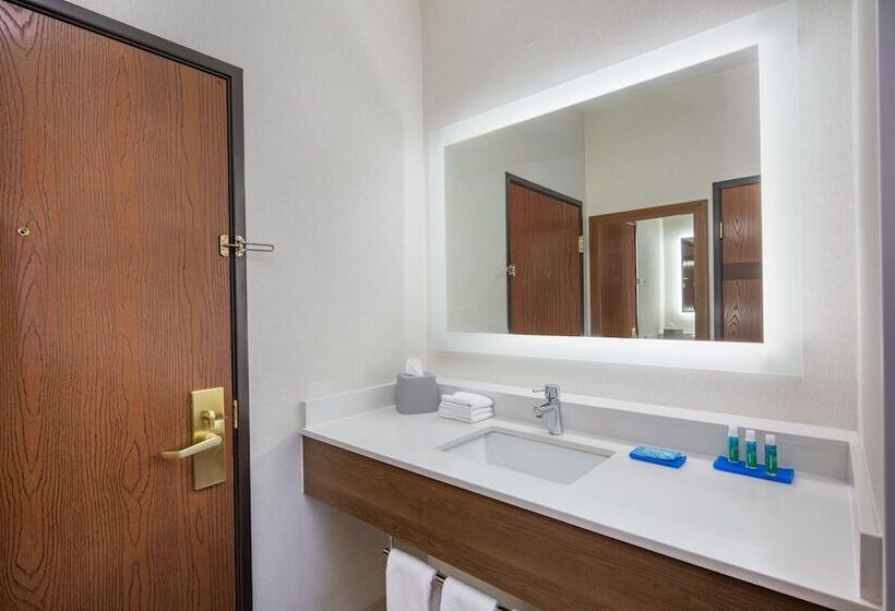 스탠다드 룸, Holiday Inn Express Hotel & Suites Bishop, An Ihg