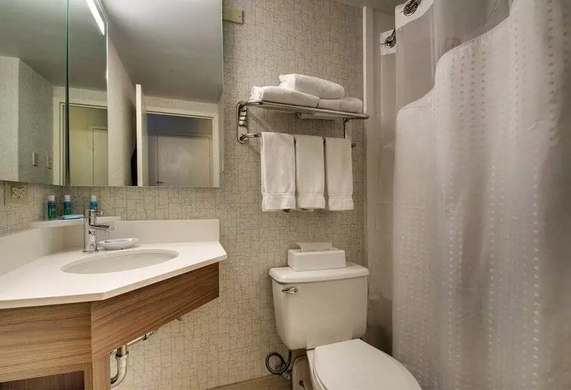 سوئیت با تخت بزرگ, Holiday Inn Express Poughkeepsie, An Ihg
