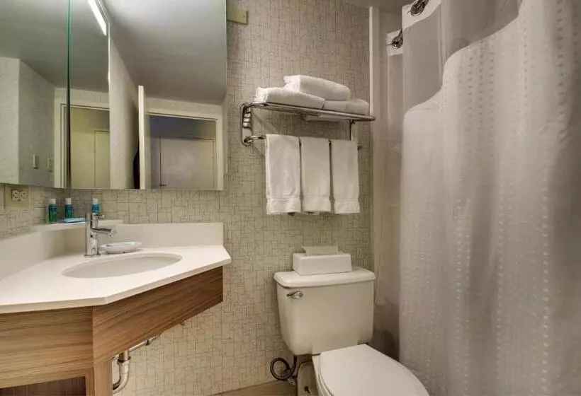 اتاق استاندارد با تخت بزرگ, Holiday Inn Express Poughkeepsie, An Ihg