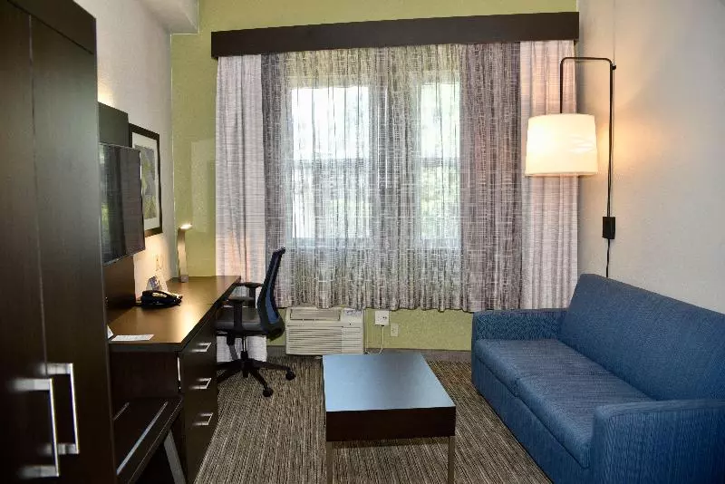 سوئیت با تخت بزرگ, Holiday Inn Express Windsor Sonoma Wine Country, An Ihg