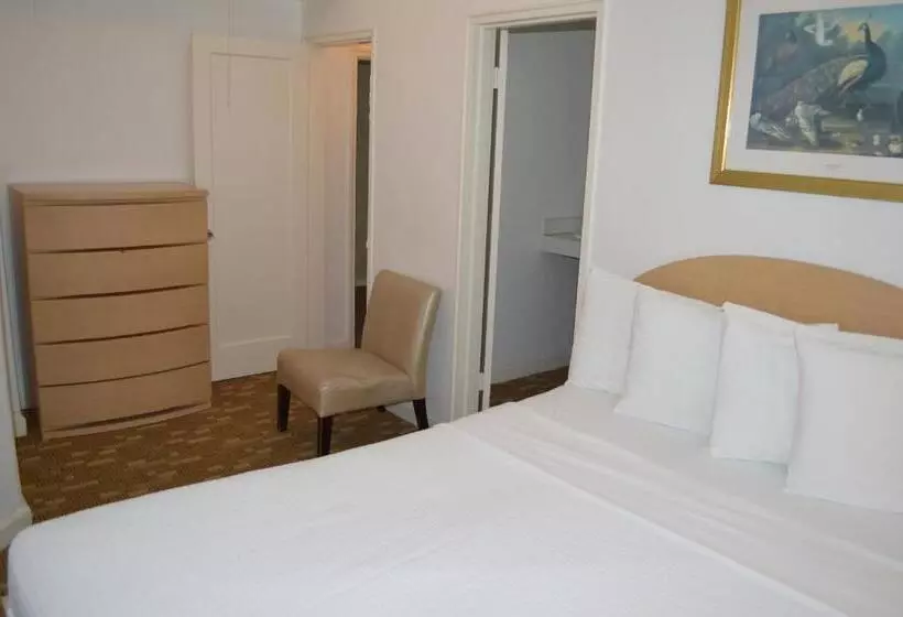 اتاق استاندارد, Island House South Beach