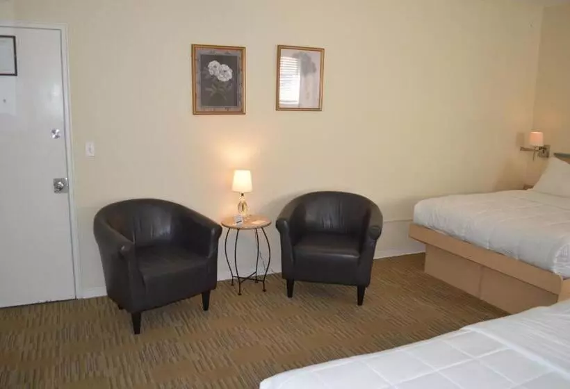 استودیو استاندارد با تخت کینگ, Island House South Beach