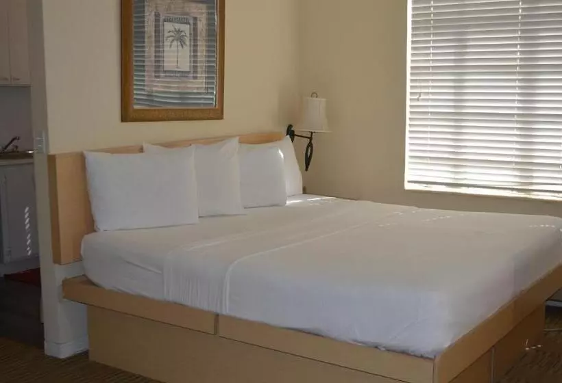استودیو استاندارد با تخت کینگ, Island House South Beach