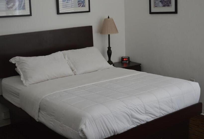 جناح, Island House South Beach