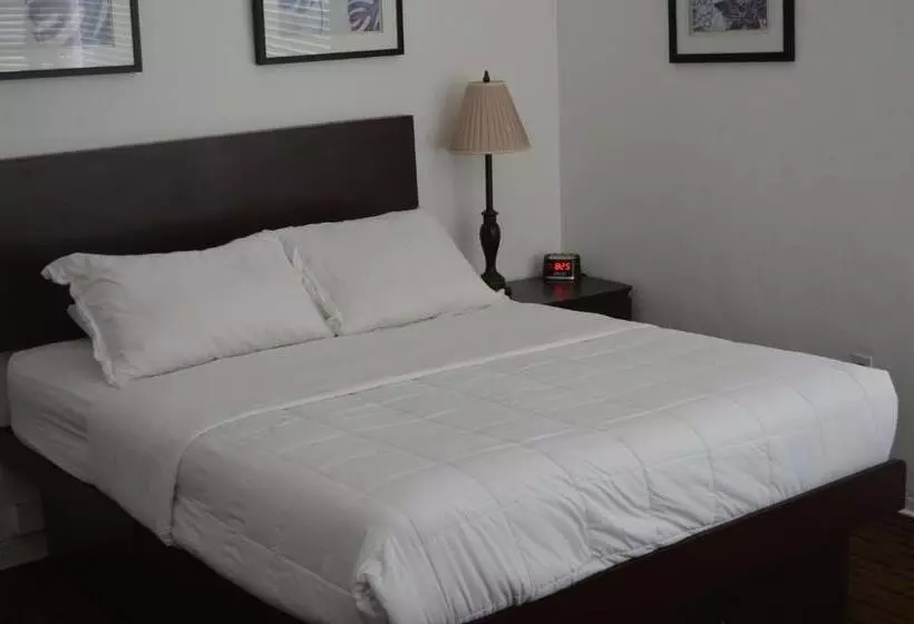 سوییت, Island House South Beach