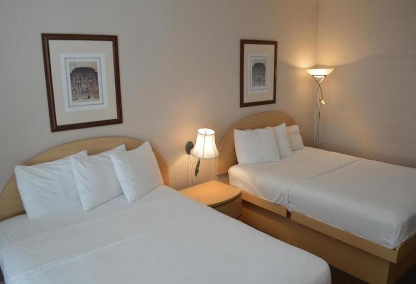 غرفة ديلوكس, Island House South Beach