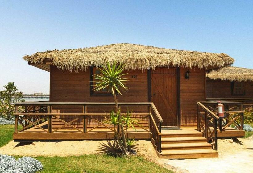 بانگلوی استاندارد, JAZ Royal Palmariva