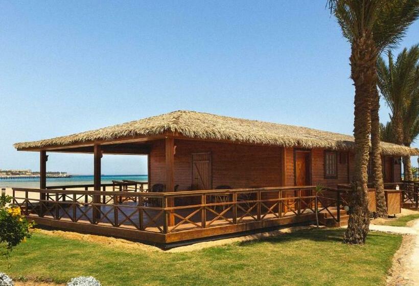 بانگلوی استاندارد, JAZ Royal Palmariva