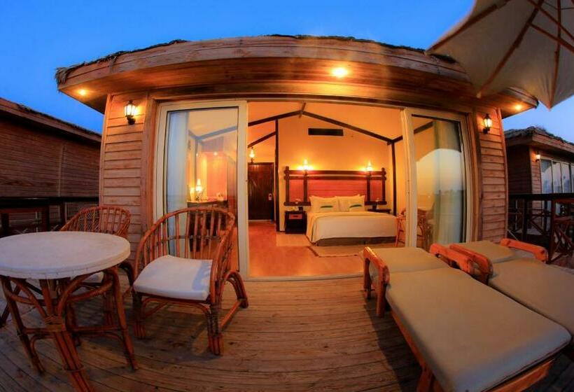 بانگلوی استاندارد, JAZ Royal Palmariva