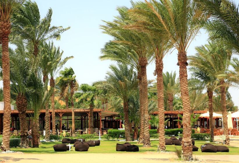 اتاق استاندارد با چشم‌انداز باغ, JAZ Royal Palmariva