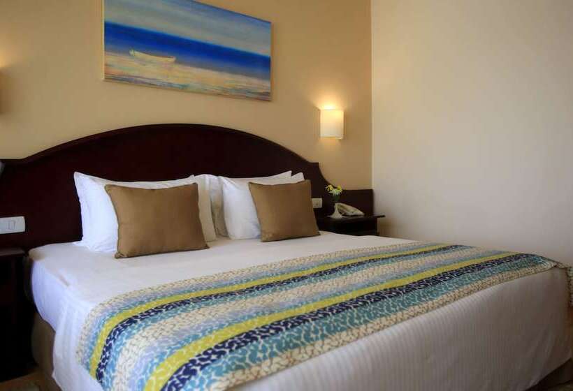 اتاق استاندارد با چشم‌انداز باغ, JAZ Royal Palmariva