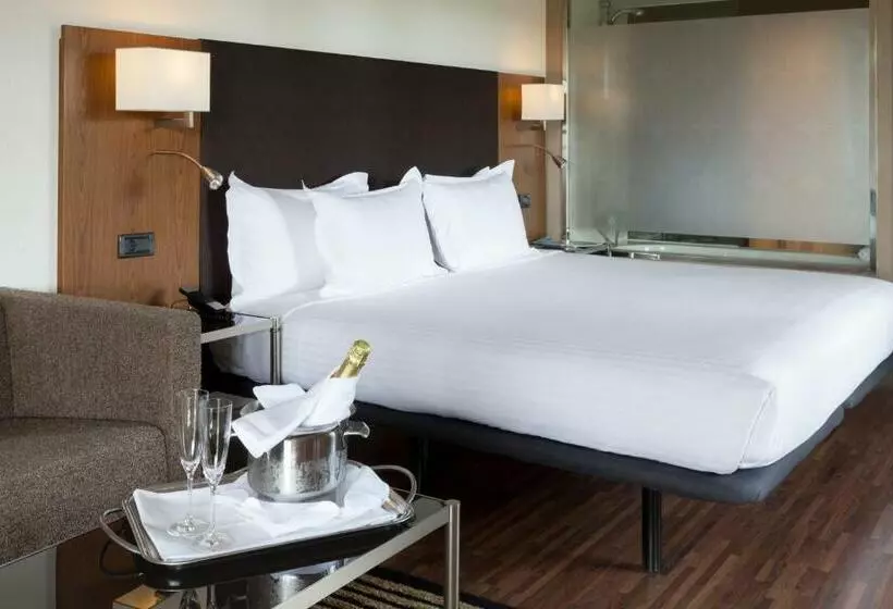スパアクセス付スタンダードルーム, Oca Vila De Allariz Hotel & Spa