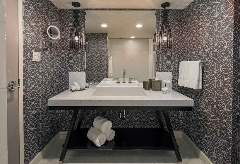 エクゼクティブワンルーム, The Royal Sonesta Washington Dc Dupont Circle