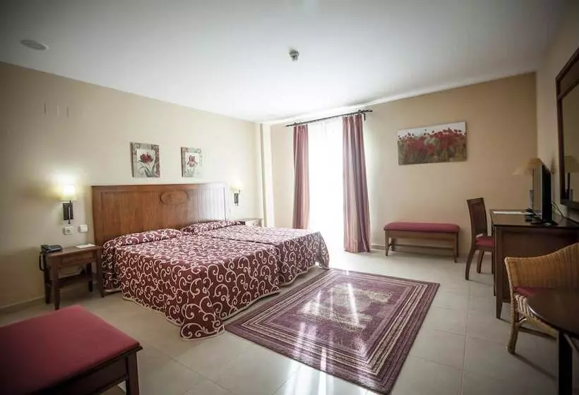 اتاق استاندارد, Gran Hotel Ciudad Del Sur