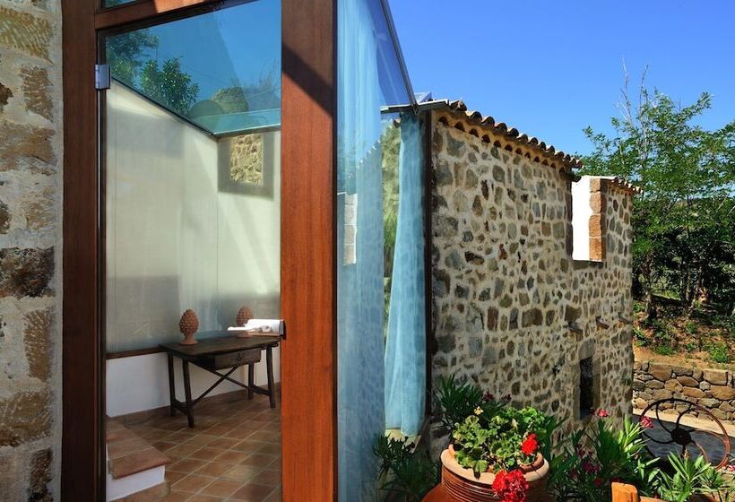 尊贵套房, Alberi del Paradiso