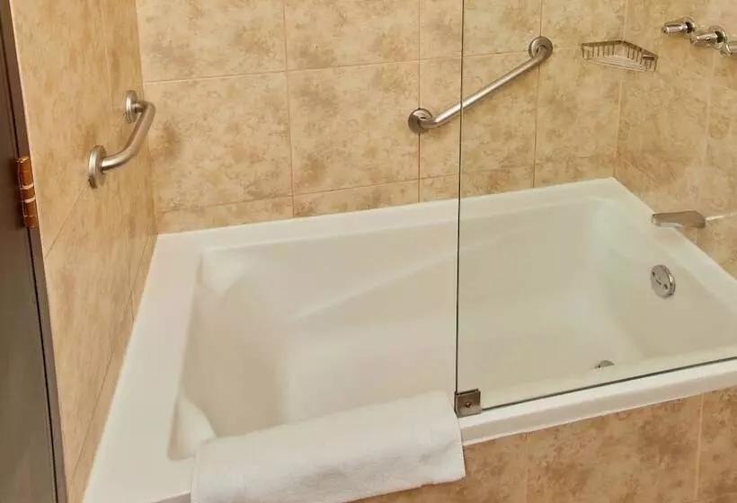 اتاق سوپریور, Casa Andina Premium Puno