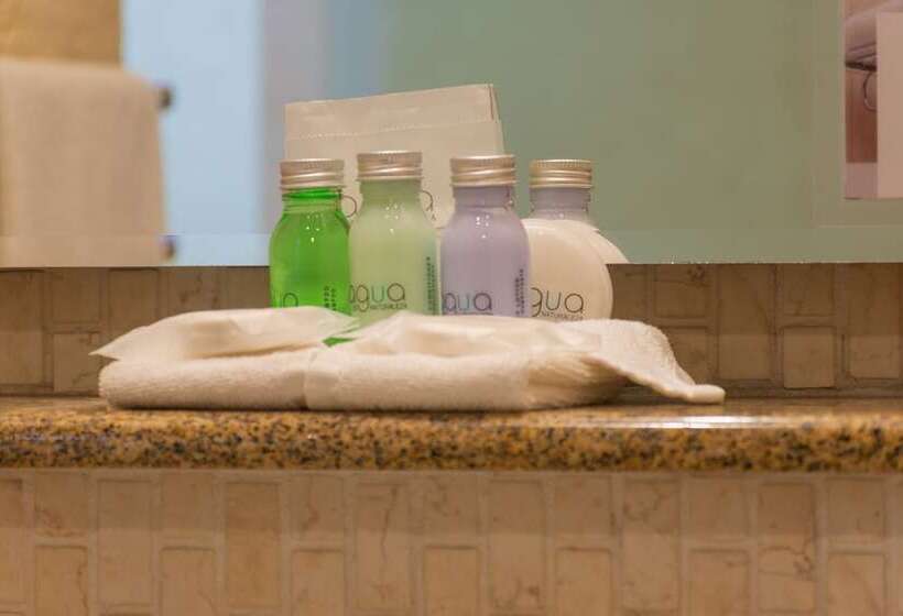 غرفة تنفيذية, Flamingo Inn