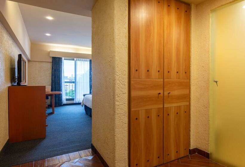 Номер Executive, Flamingo Inn