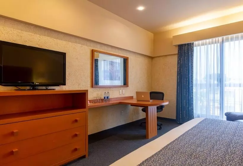 اتاق اجرایی, Flamingo Inn