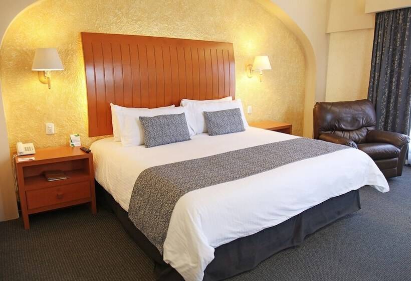 غرفة تنفيذية, Flamingo Inn