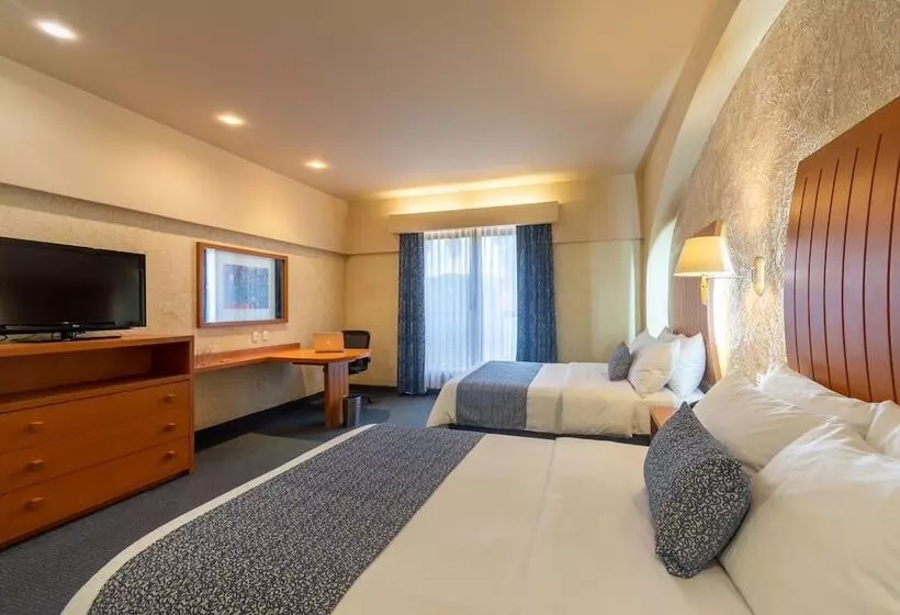 اتاق اجرایی, Flamingo Inn