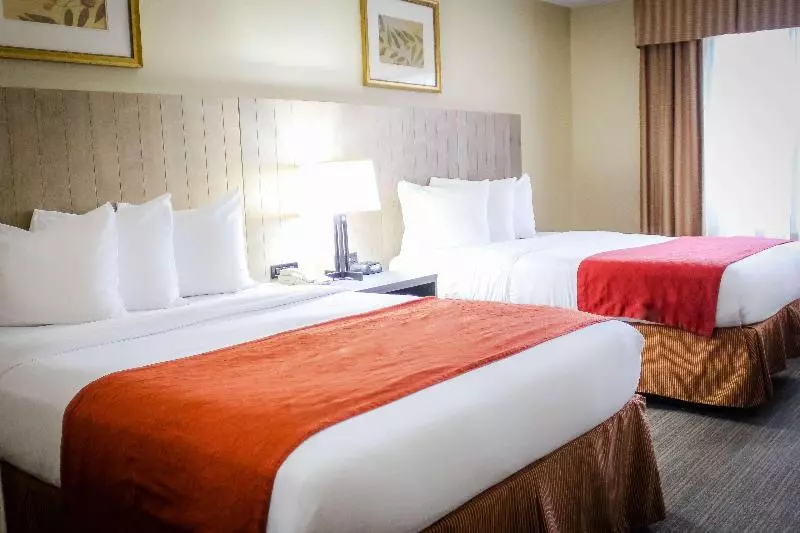 اتاق اجرایی, Flamingo Inn